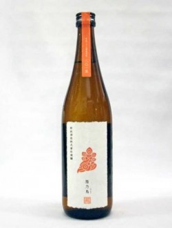 아라마사 히노토리 귀양주(키죠우슈) (720ml) 新政 陽乃鳥(ひのとり) 貴醸酒